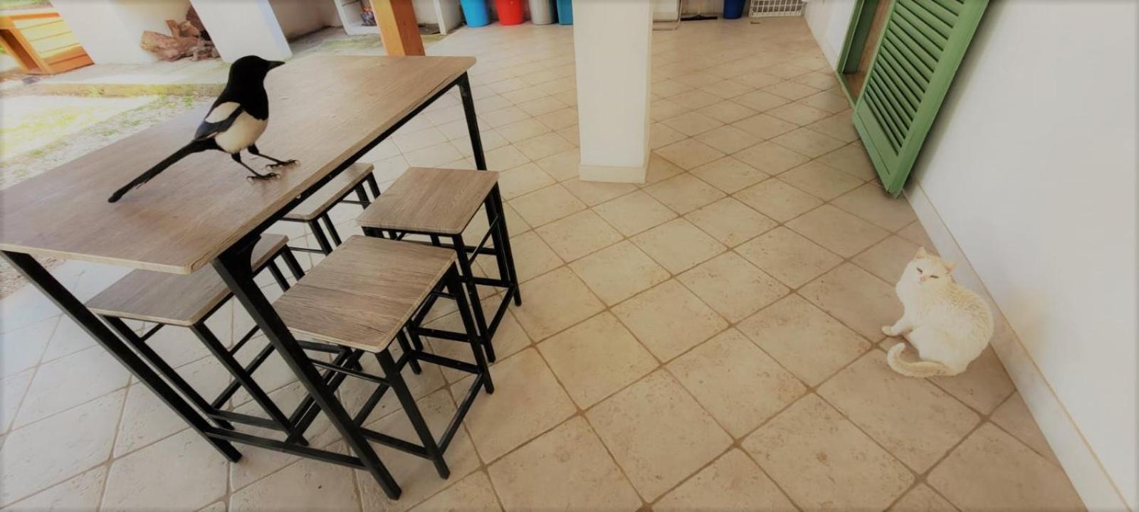 Costanza Сasa de vacaciones