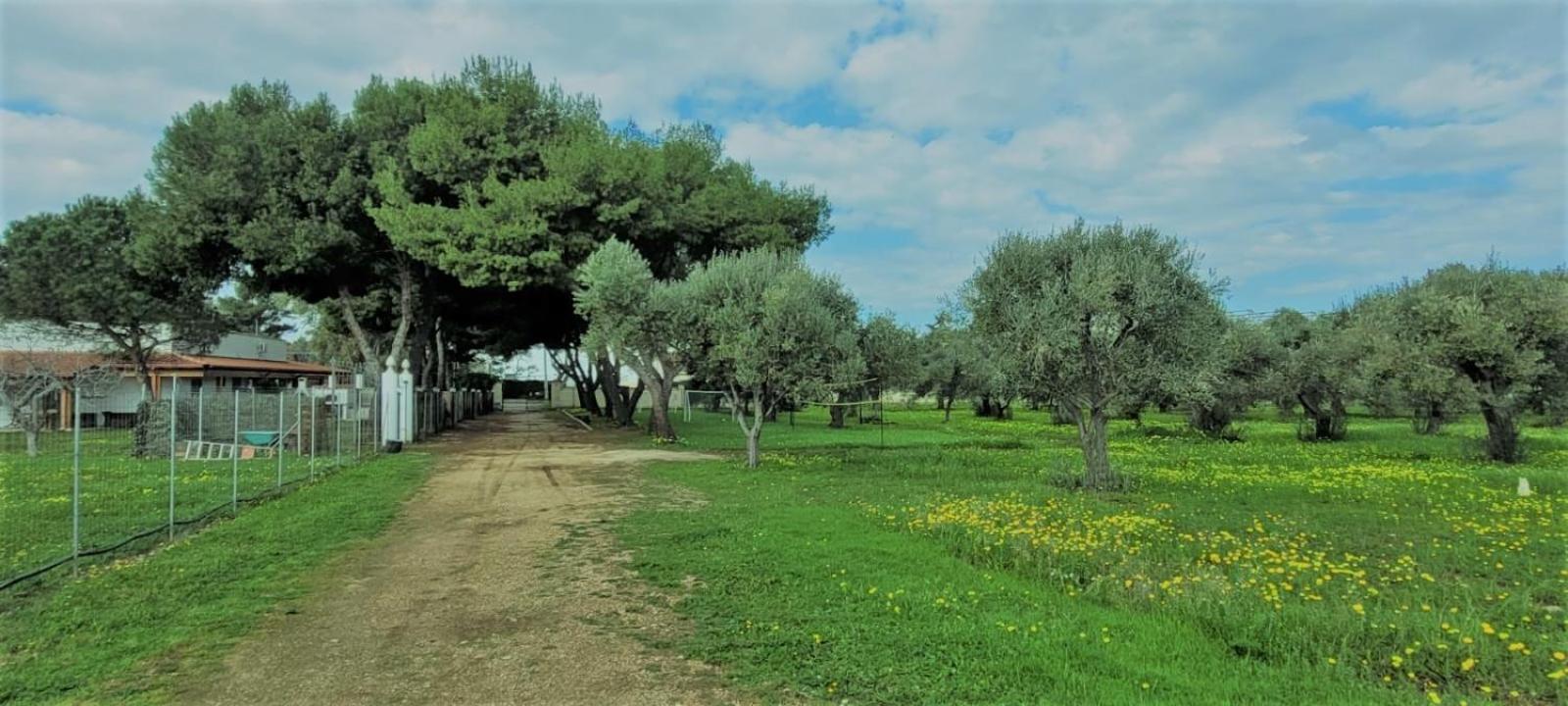 Costanza Vakantiehuis